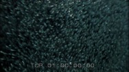 02A-0680-1/001