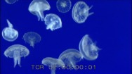 02A-2019-2/001