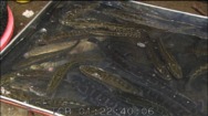 04A-8059-D/072