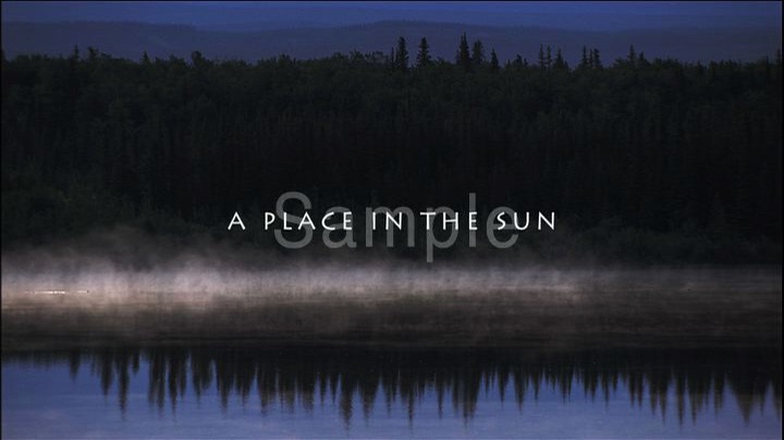 A PLACE IN THE SUN