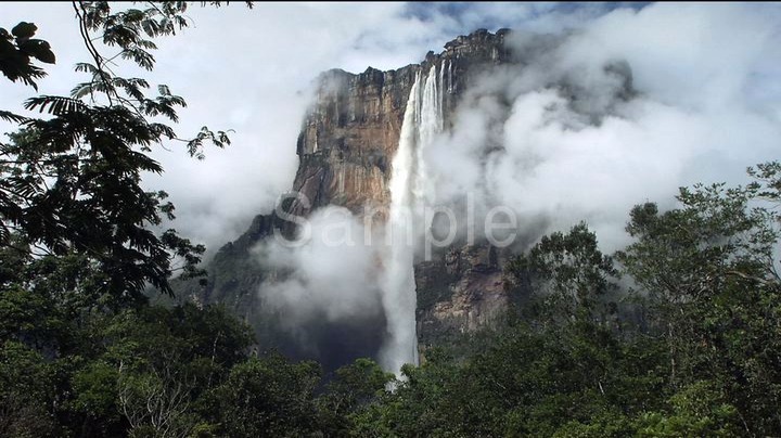 GUAYANA(ギアナ)-The Lost World-