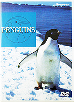 PENGUINS(ペンギンズ)