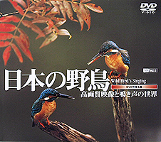 日本の野鳥