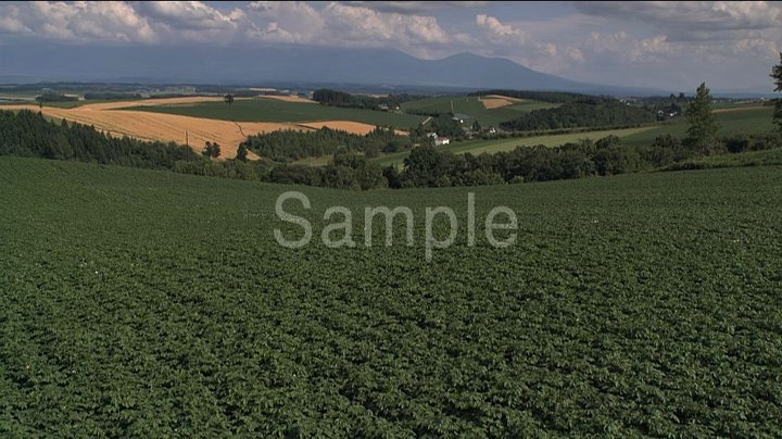 緑の大地 “THE GREEN EARTH” Summer in Hokkaido